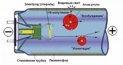 Принцип работы люминесцентной лампы со стартером