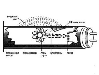 Из чего состоит лампа дневного света?