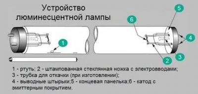 Из чего состоит лампа дневного света?