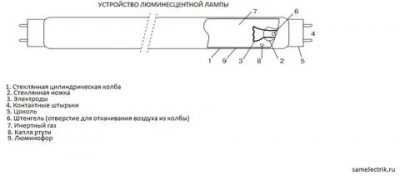 Из чего состоит лампа дневного света?