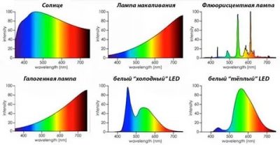 Спектр лампы накаливания и светодиодной лампы