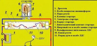 Принцип работы люминесцентной лампы со стартером