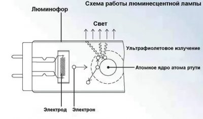 Как работает стартер лампы дневного света?