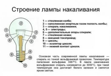 Из чего состоит лампа накаливания?