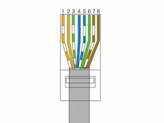 Какую витую пару выбрать для дома?