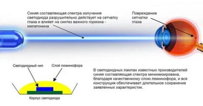 Влияние светодиодных ламп на зрение